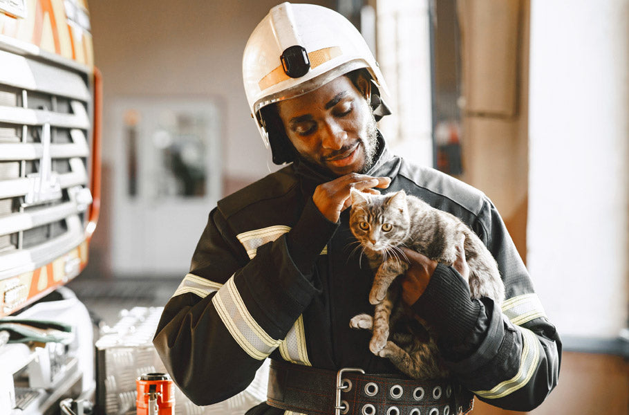 Cat Rescue Stories: Heartwarming Tales of Feline Survival and New Beginnings