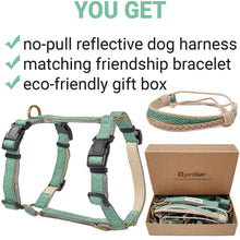 Pettsie No-Pull No-Choke Dog Harness Reflective & Matching Friendship Bracelet, 3 adjustable sizes