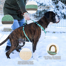Pettsie No-Pull No-Choke Dog Harness Reflective & Matching Friendship Bracelet, 3 adjustable sizes