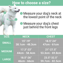 Pettsie No-Pull No-Choke Dog Harness Reflective & Matching Friendship Bracelet, 3 adjustable sizes