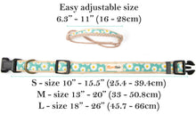 Pettsie Dog Collar & Bandana & Matching Friendship Bracelet, 3 adjustable sizes