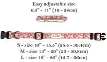 Pettsie Dog Collar & Bandana & Matching Friendship Bracelet, 3 adjustable sizes