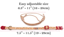 Stylish red cat collar in unique design for the modern cat with friendship bracelet