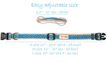 Pettsie Heart Dog Collar & Bandana & Matching Friendship Bracelet, 3 adjustable sizes