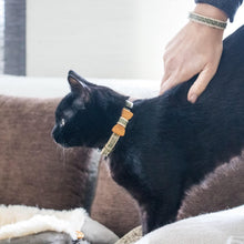 pettsie-black-cat-collar-bow-tie-friendship-bracelet-breakaway-buckle-adjustable-size-edi