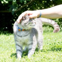 pettsie-blue-cat-collar-wood-bow-tie-matching-friendship-bracelet-cotton-nature