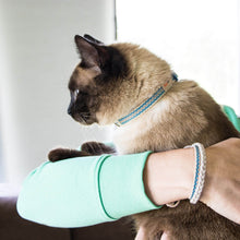 pettsie-blue-kitten-collar-breakaway-matching-friendship-bracelet-easy-adjustable-lili