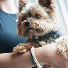 pettsie-matching-friendship-bracelet-cotton-hemp-blue
