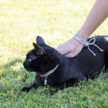 pettsie-breakaway-red-kitten-collar-anti-lost-id-tag-capsule-design-friendship-bracelet-edi