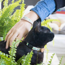 pettsie-green-flowers-friendship-bracelet-cat-collar-heart-edi2