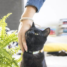 pettsie-green-flowers-friendship-bracelet-cat-collar-heart-edi
