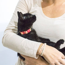 pettsie-kitten-collar-safety-breakaway-buckle-friendship-bracelet-easy-adjustable-edi