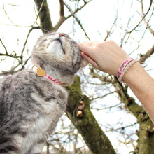 pettsie-pink-cat-collar-wood-heart-matching-friendship-bracelet-calming-cotton-dapper-chic