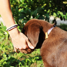 pettsie-matching-friendship-bracelet-cotton-hemp-purple-adjustable-size
